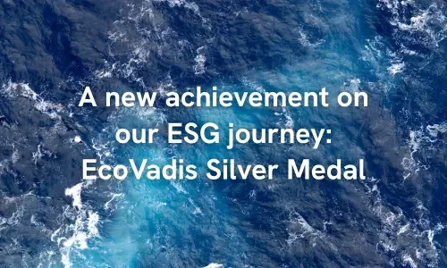 EcoVadis Silver Medal (500 x 300 px)